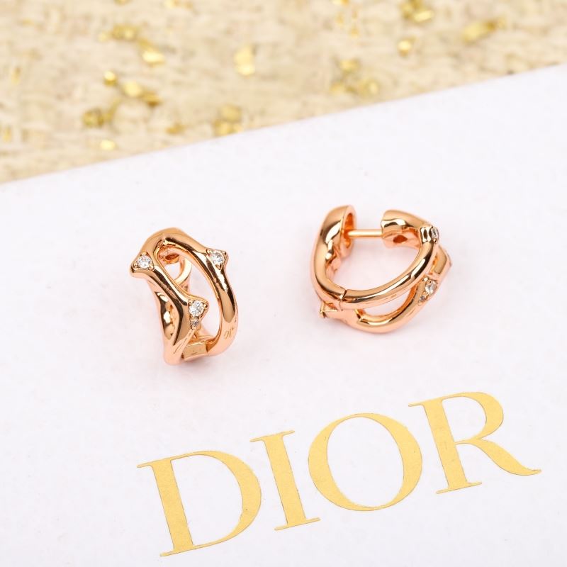 Christian Dior Earrings - Click Image to Close